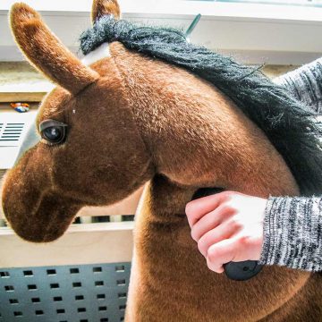 Pferde für Kinder in Mülheim